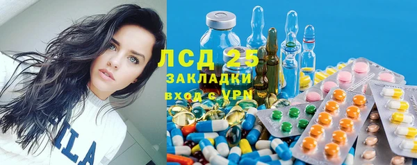 стаф Анжеро-Судженск