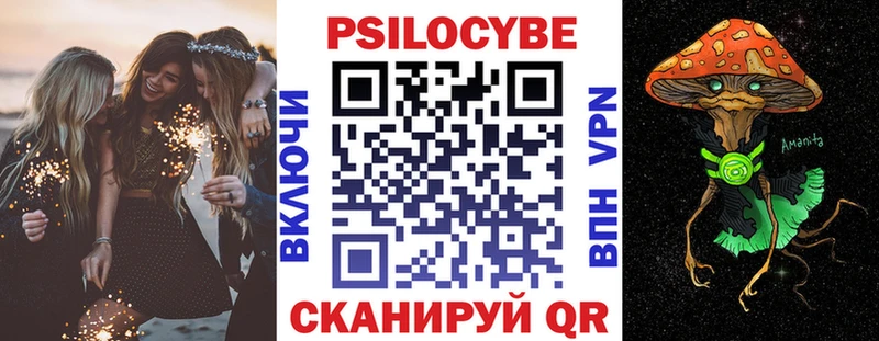 Псилоцибиновые грибы Psilocybe  Краснозаводск 